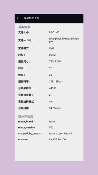 自媒体视频助手软件展示图4