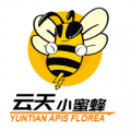 云天小蜜蜂app v1.5.4