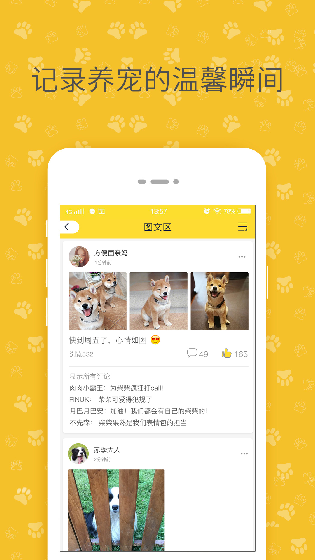 陪彼宠物展示图4