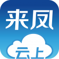云上来凤app