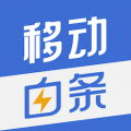 移动白条app