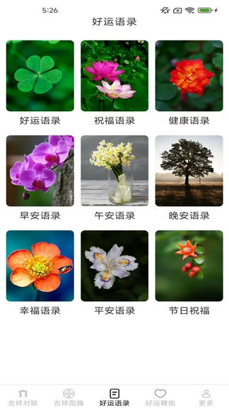 吉祥有好运app软件展示图3