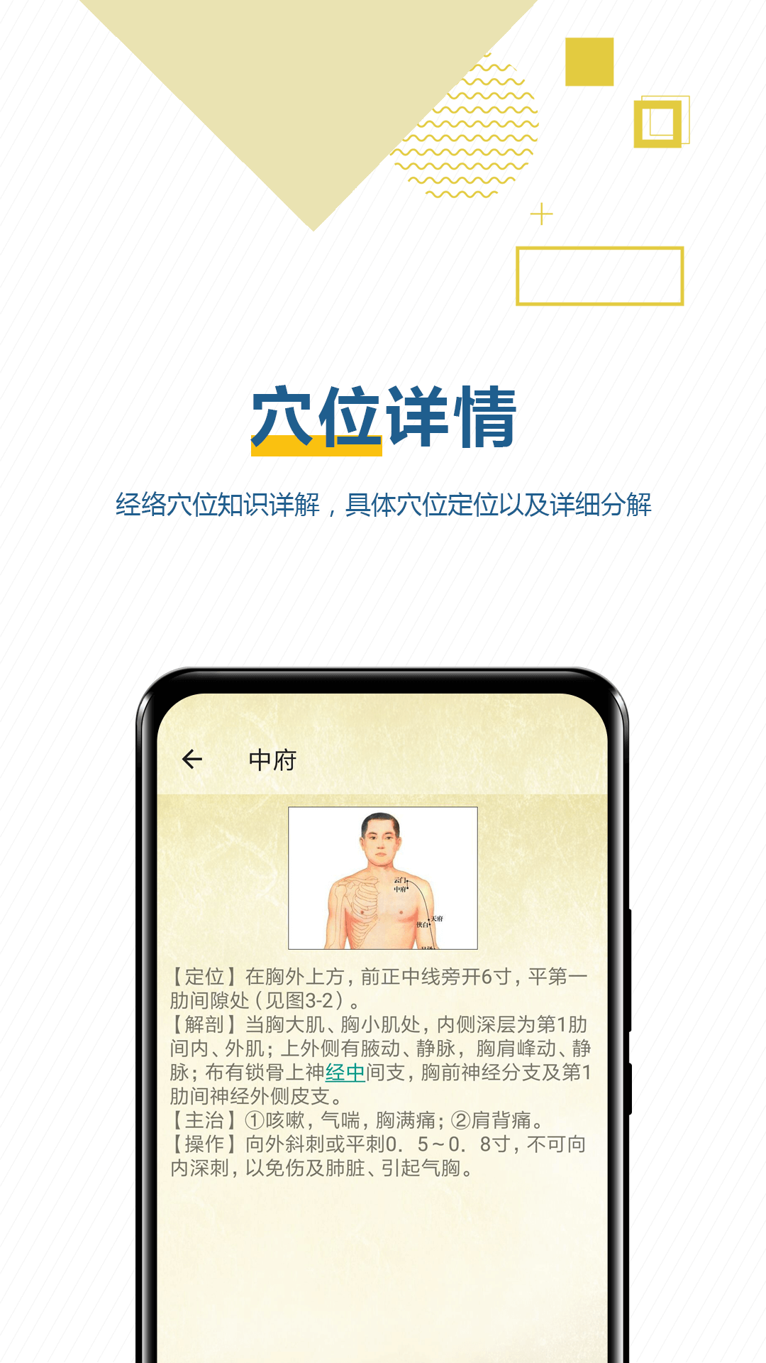 穴位按摩宝典软件展示图2