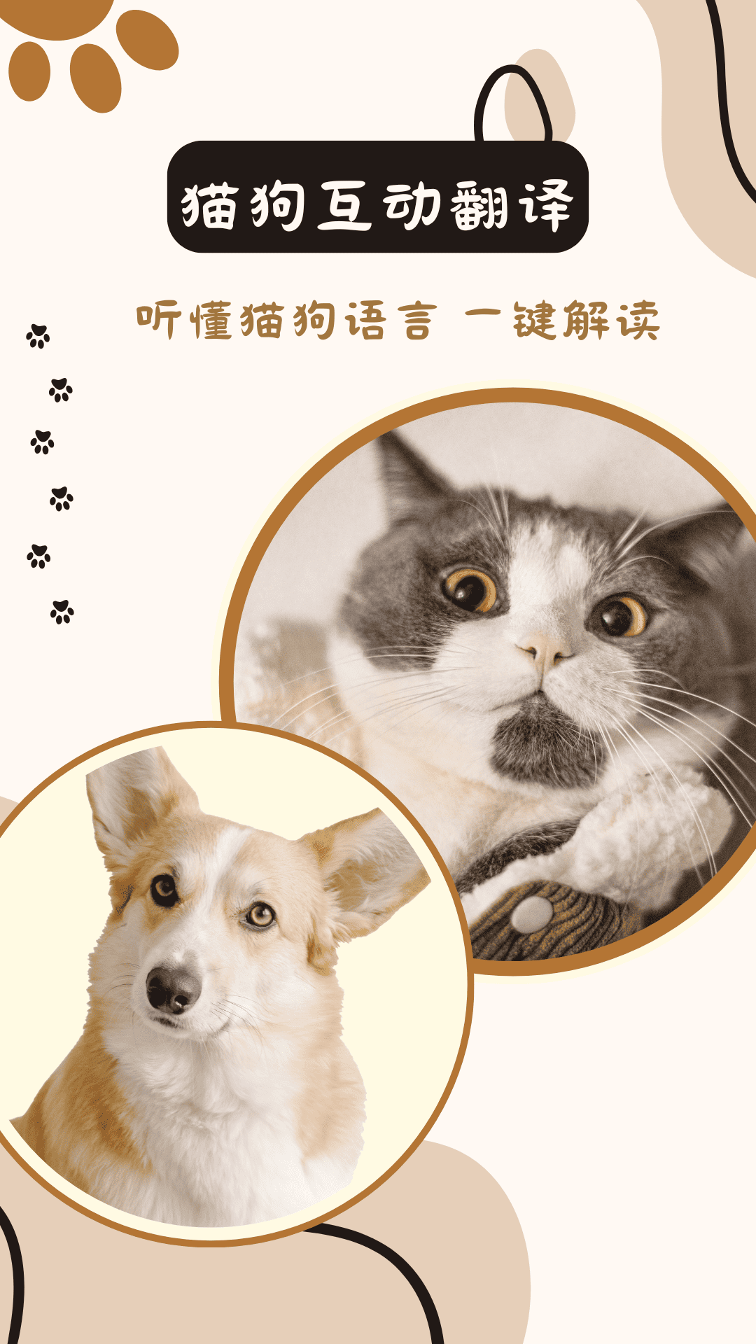 猫狗互动翻译app软件展示图1