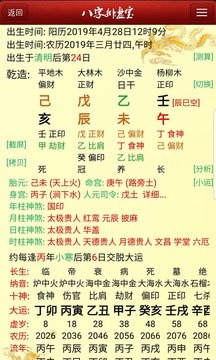 八字排盘宝软件展示图3