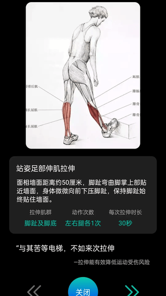 球赛计分牌app展示图4