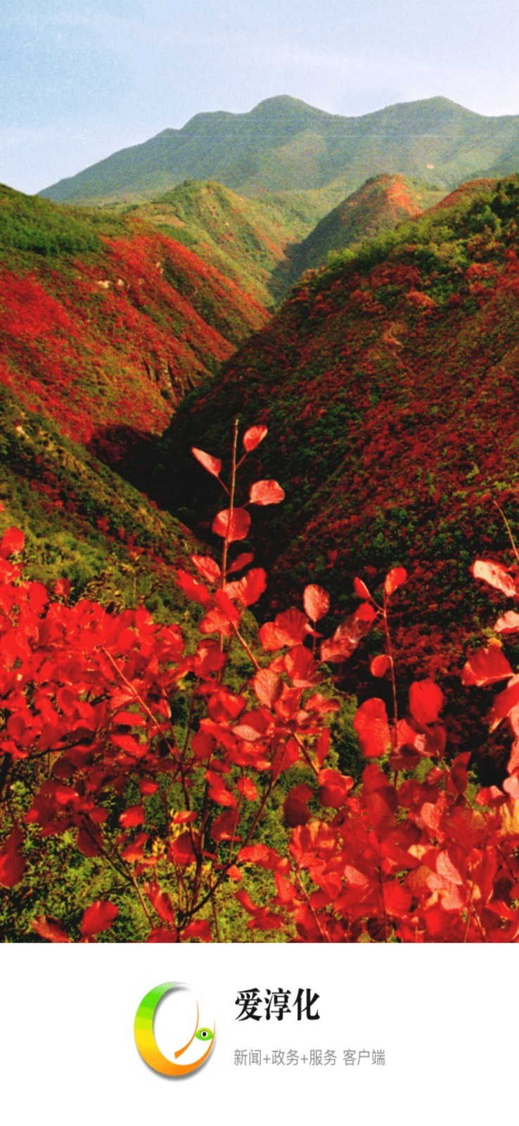 爱淳化软件展示图1