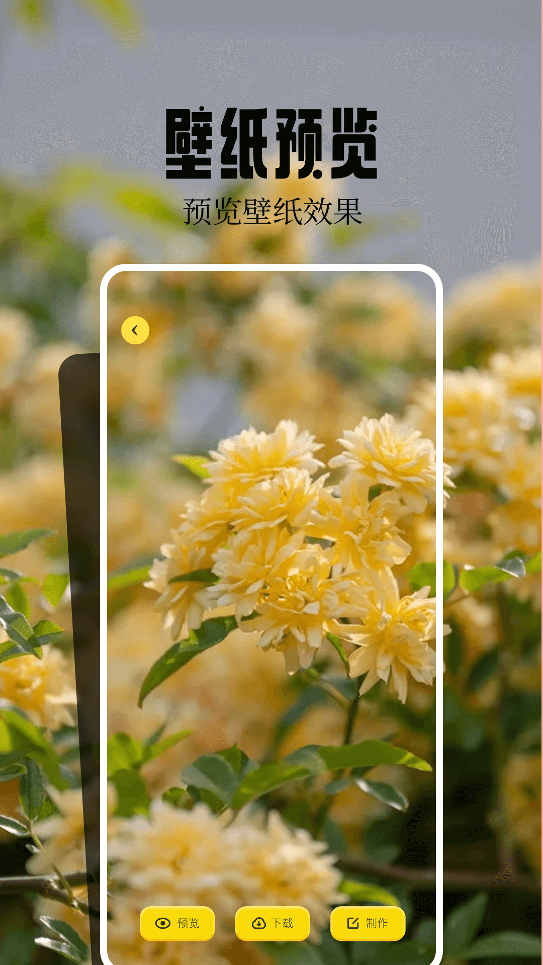 桌面壁纸精灵软件展示图3