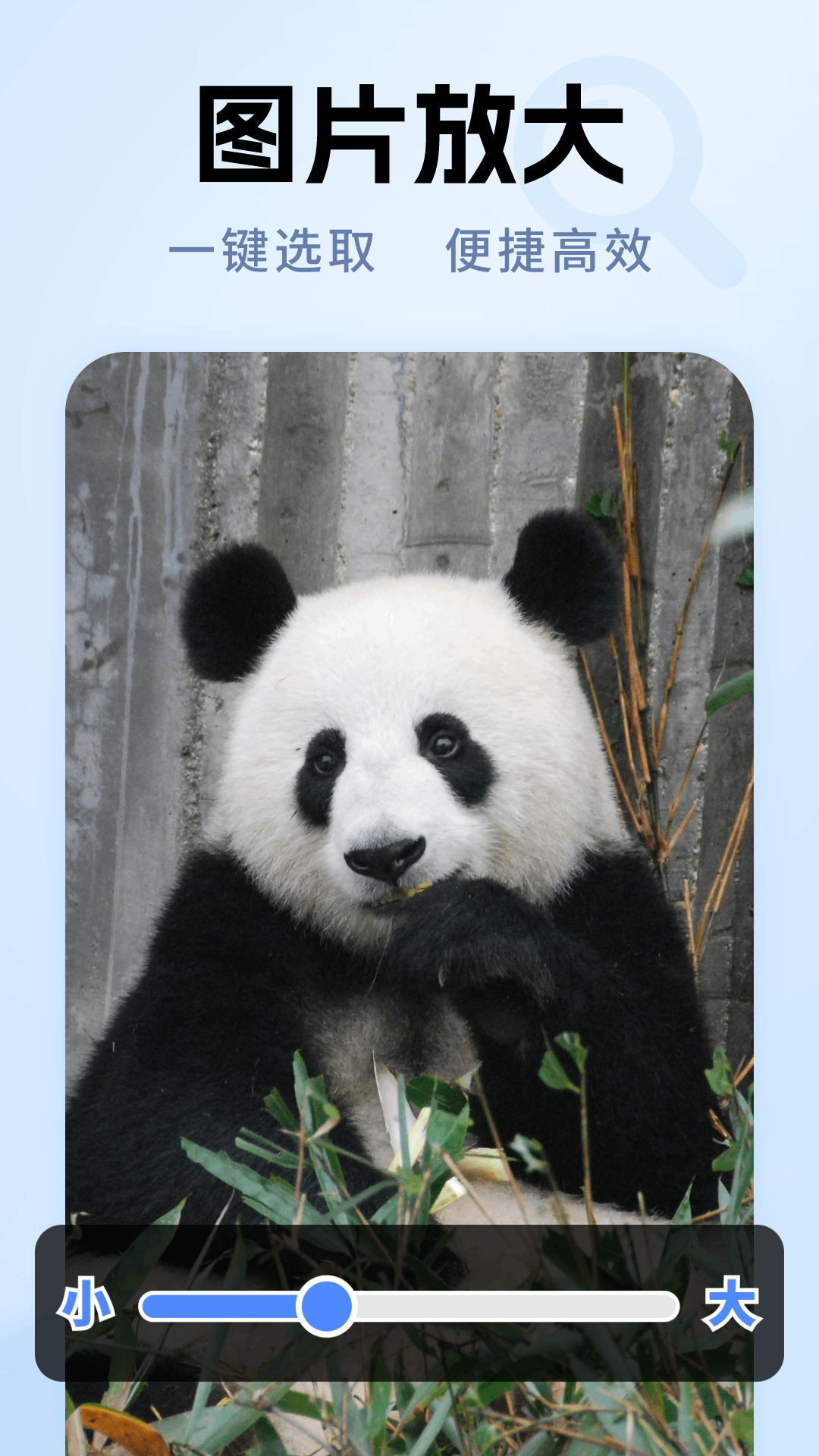 老年放大镜专家软件展示图2