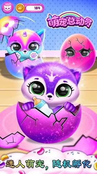 桌面萌宠总动员软件展示图4