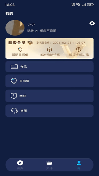 VVDig软件展示图3