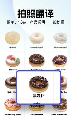 极速翻译官软件展示图2