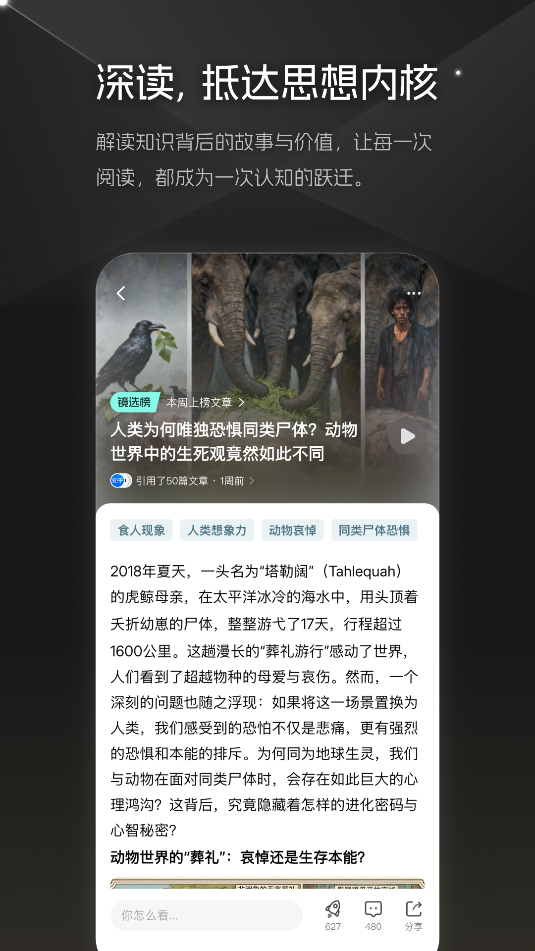 大圆镜app安卓版软件展示图4