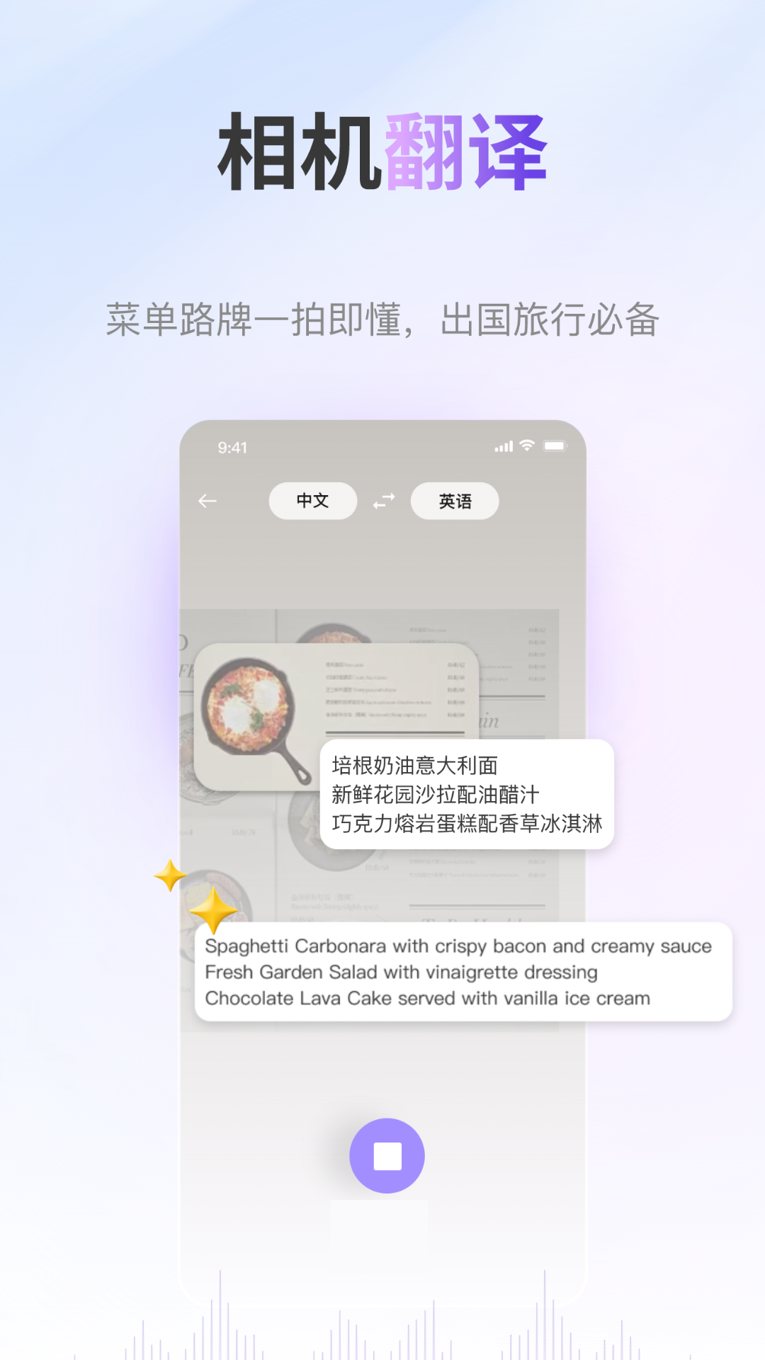 ViiTor实时翻译app软件展示图4
