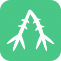 知竹网app
