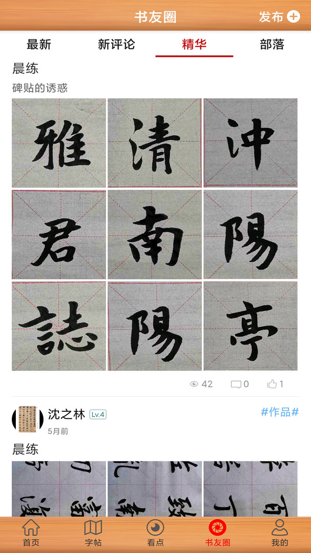 书法练字神器软件app软件展示图4