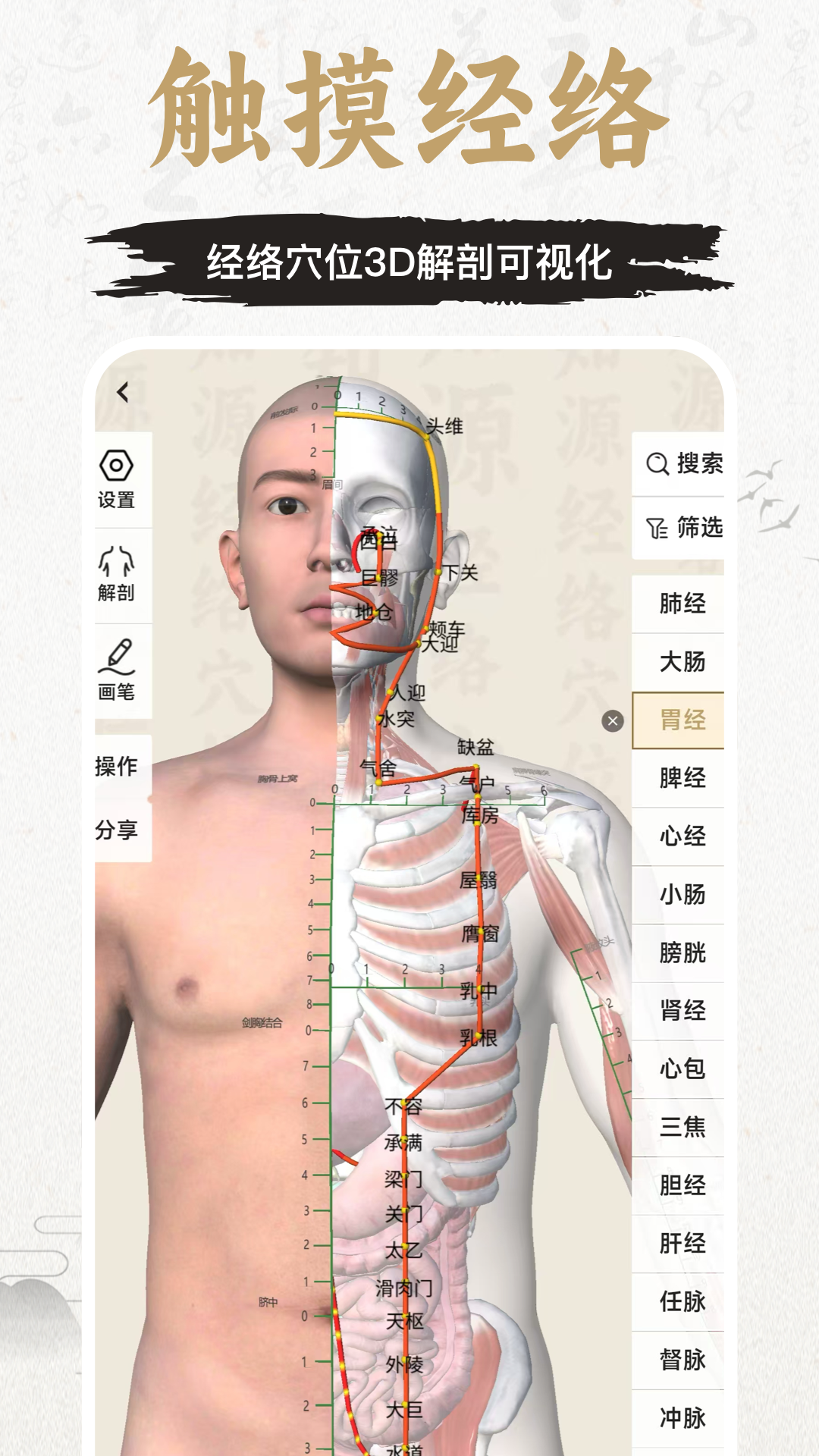 中济经络最新版app软件展示图2