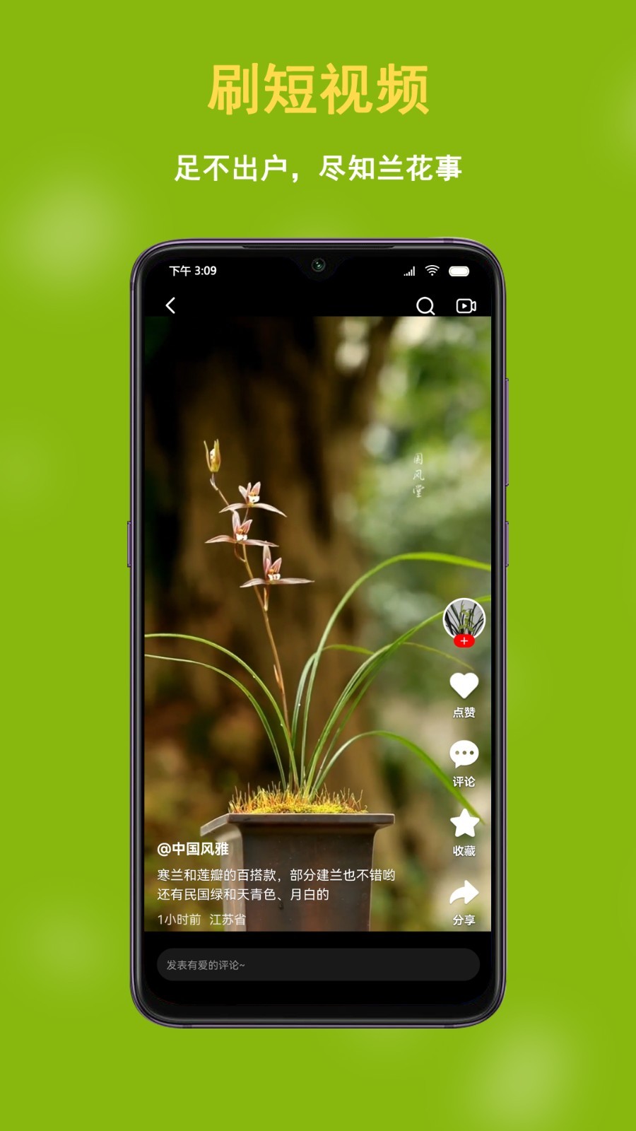 中国兰花交易网app软件展示图4