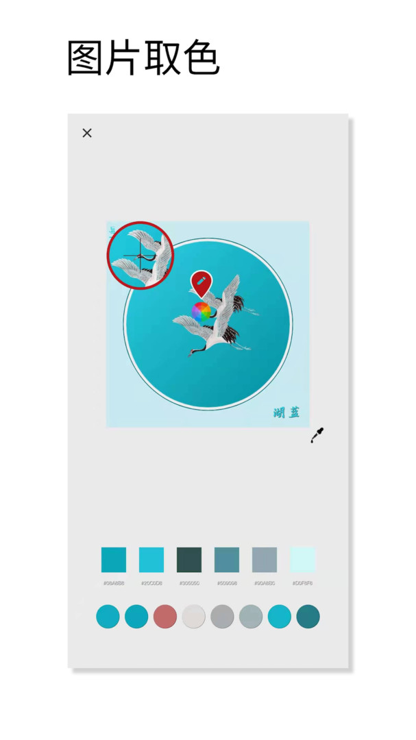 观色配色手机软件app软件展示图2