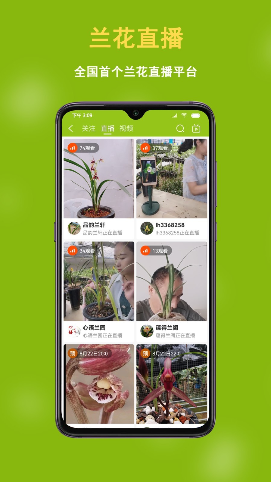 中国兰花交易网app软件展示图3