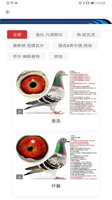 邢小信app软件展示图2