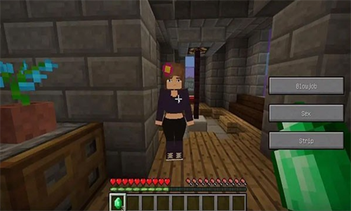 珍妮冒险纲手版安装包游戏截图3