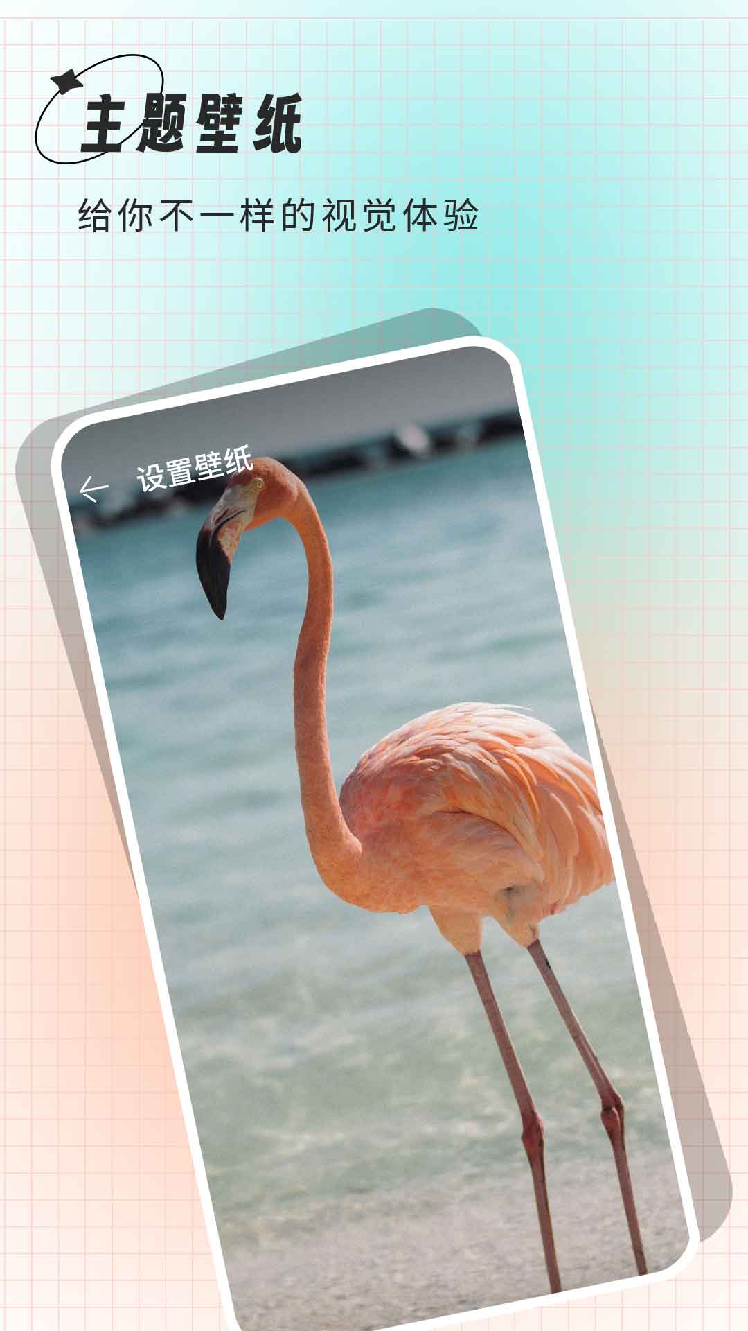 克拉壁纸安卓安卓版软件展示图2