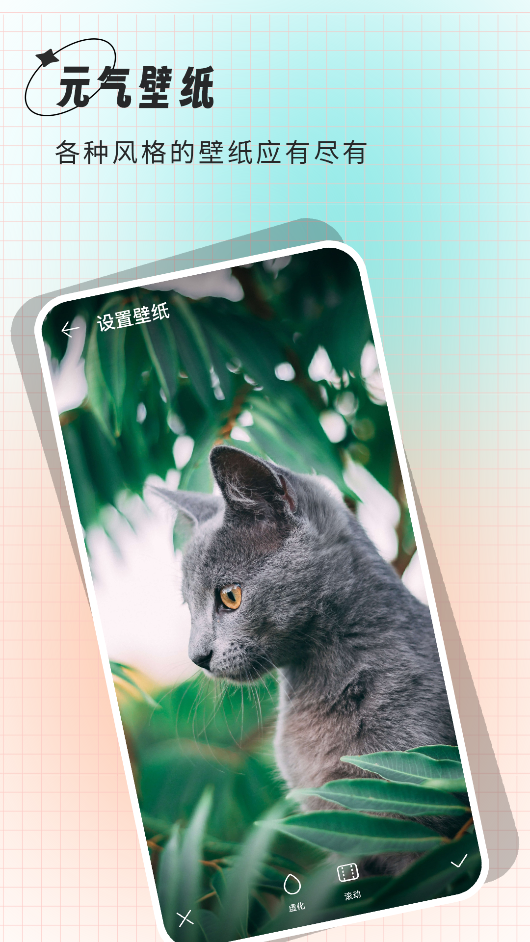 克拉壁纸安卓安卓版软件展示图3