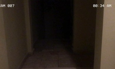 超自然公司汉化联机版游戏截图3