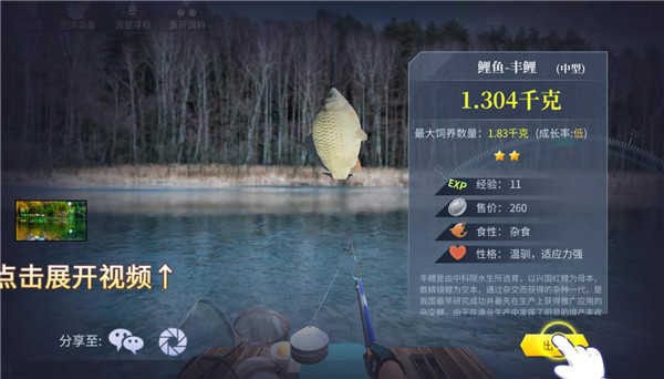 垂钓宗师官方下载