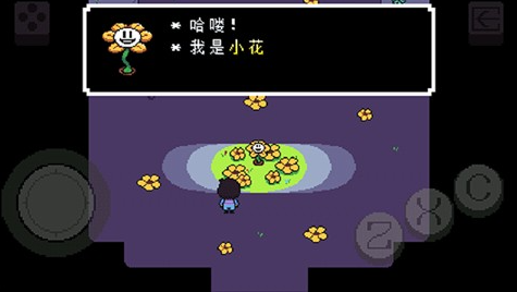 传说之下黄魂汉化版游戏截图3