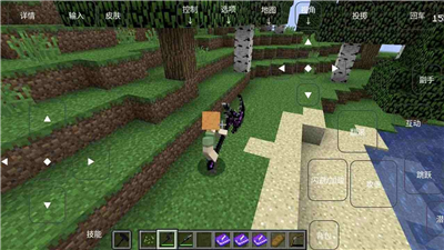 我的世界烦人的村民6.0展示图2