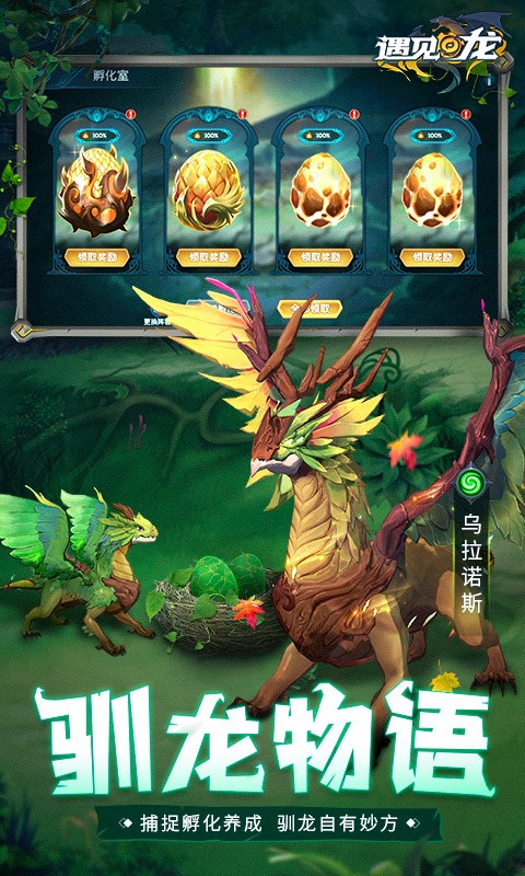 遇见龙内购版游戏截图2