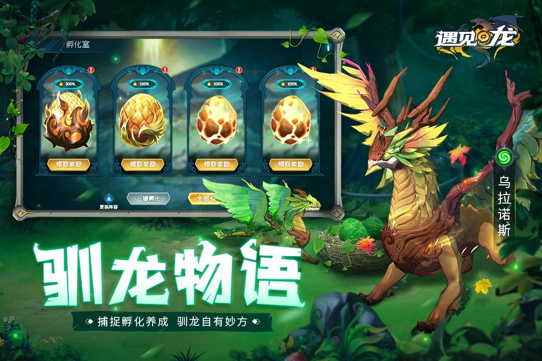 遇见龙国际服游戏截图4