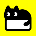 猫箱ai软件官方版最新版