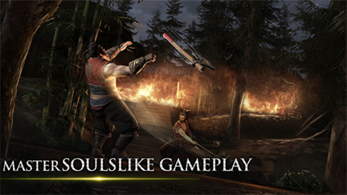 忍者武士隆内置菜单版游戏截图1