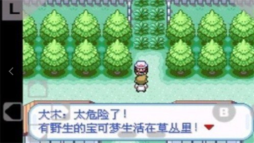 精灵宝可梦红破解版游戏截图1