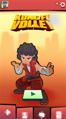 功夫排球展示图2