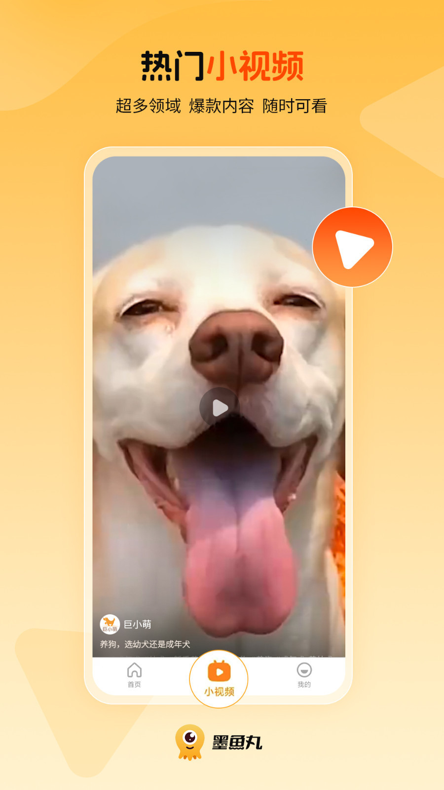 墨鱼丸免费最新版本最新版软件展示图3