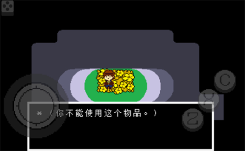 地域传说黄金正义简体中文版游戏截图3