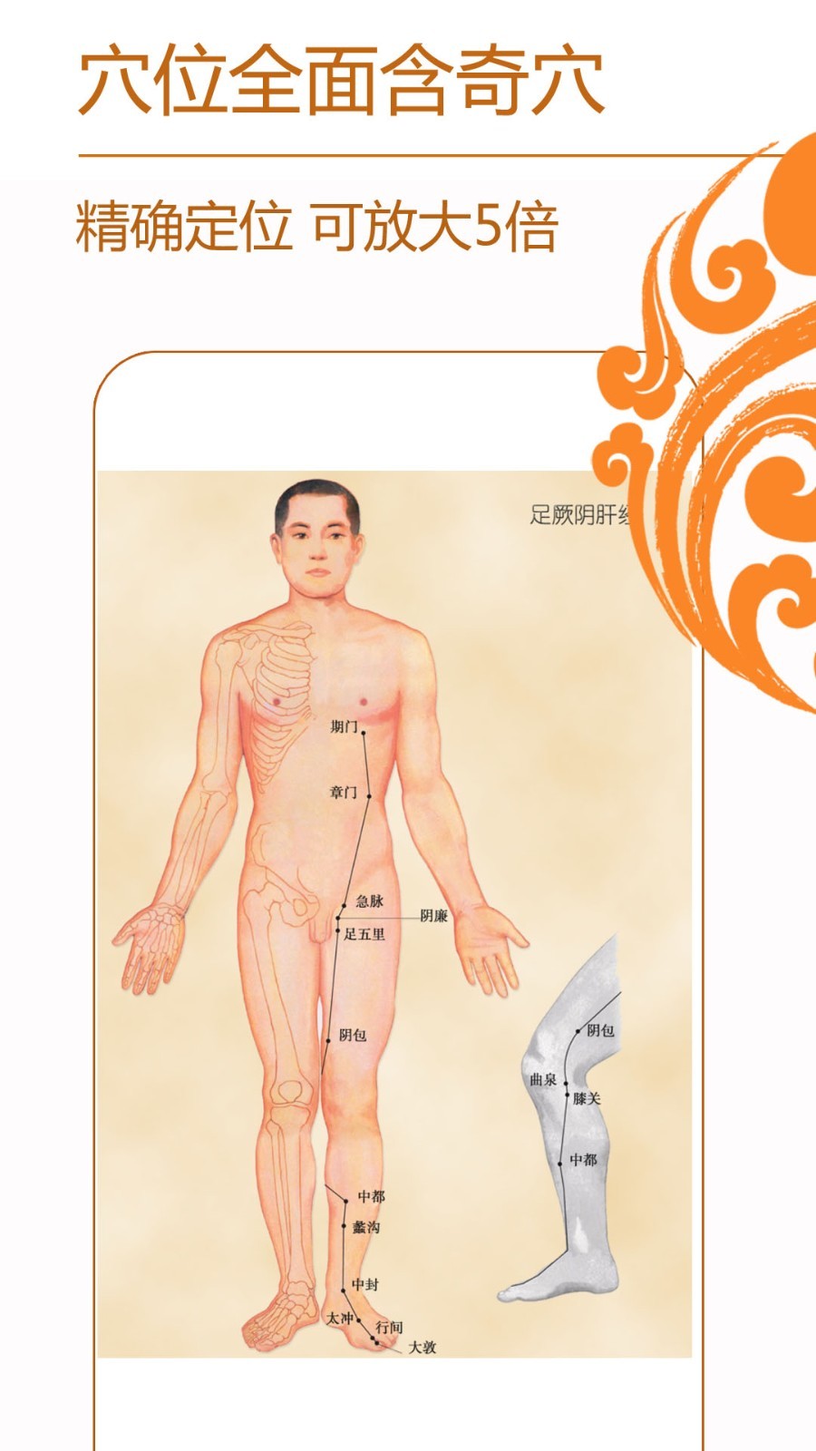 蓝鹤经络养生最新版软件展示图2