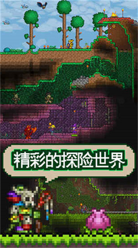 泰拉瑞亚破解版1.4.4.9无限资源版游戏截图4