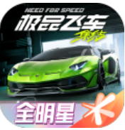 极品飞车淘汰之王完整版