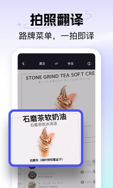 极速翻译器手机版官方版软件展示图2