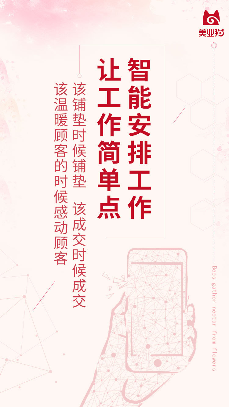 美业猫安卓最新版软件展示图2