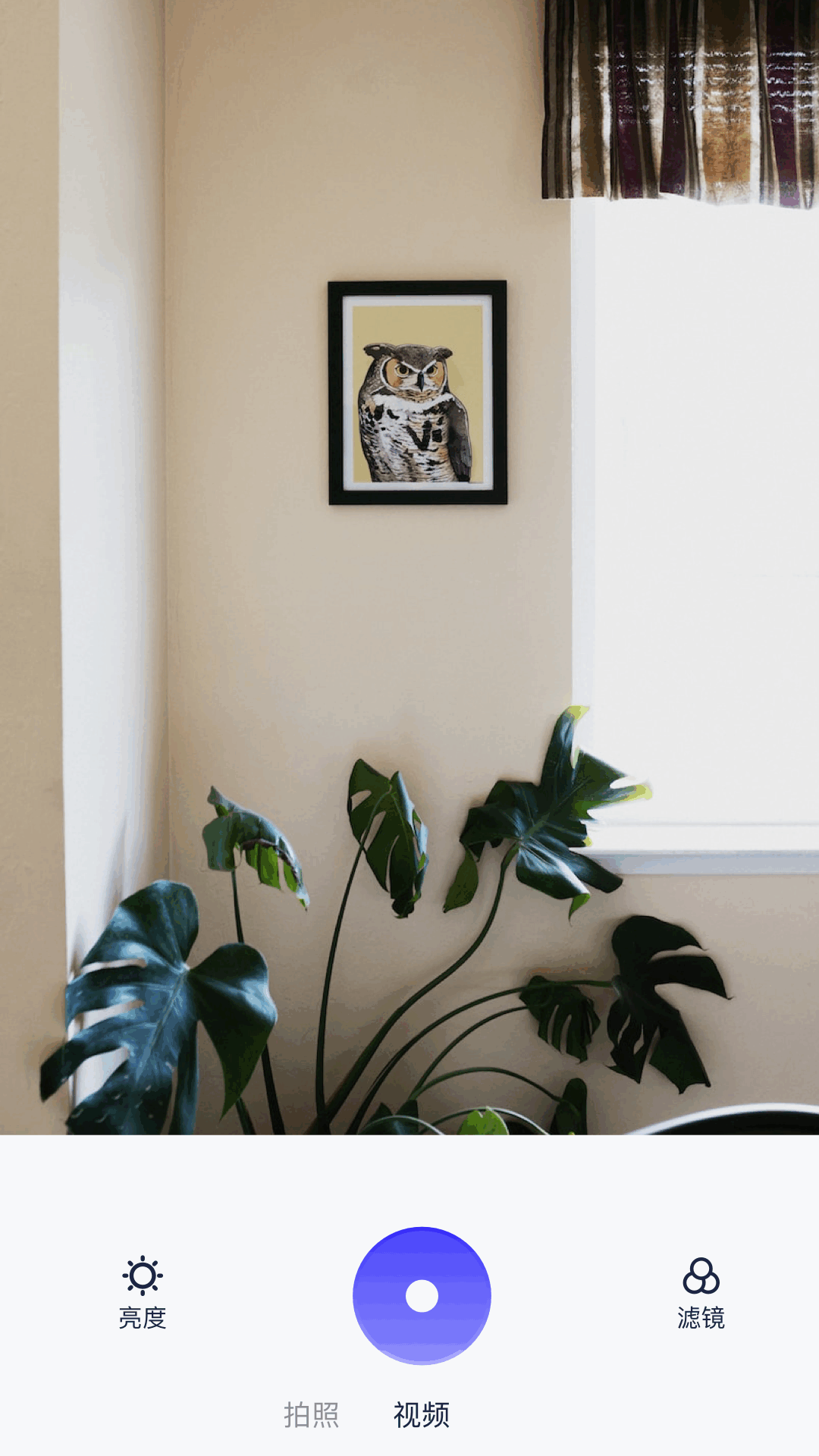 御书屋最新版软件展示图3