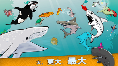 皇家鱼破解版展示图2