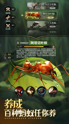 小小蚁国破解版无限钻石版游戏截图1