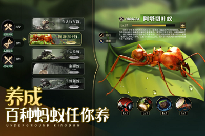 小小蚁国无限钻石破解版游戏截图1