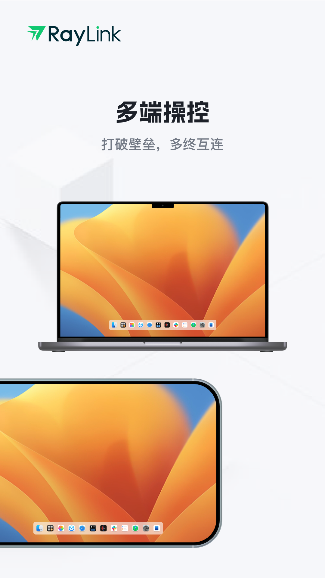 raylink手机控制手机最新版软件展示图2